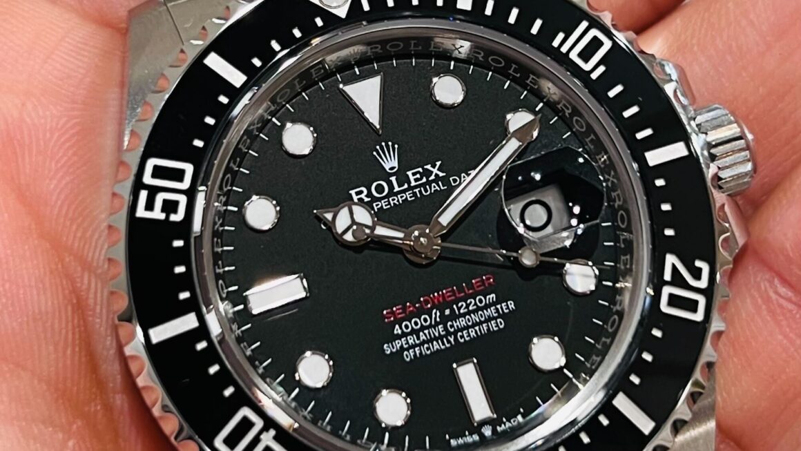 今年の夏に赤シードはいかがでしょうか