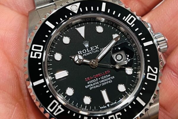 今年の夏に赤シードはいかがでしょうか