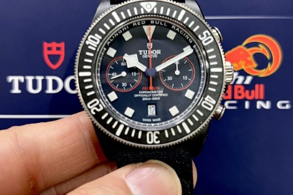 ぺラゴスに翼を…　Ref.25807KN-0001